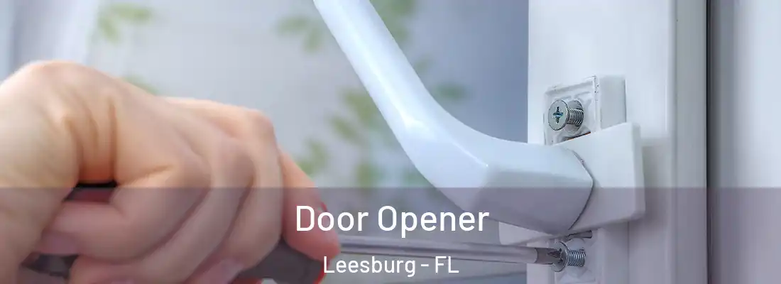 Door Opener Leesburg - FL