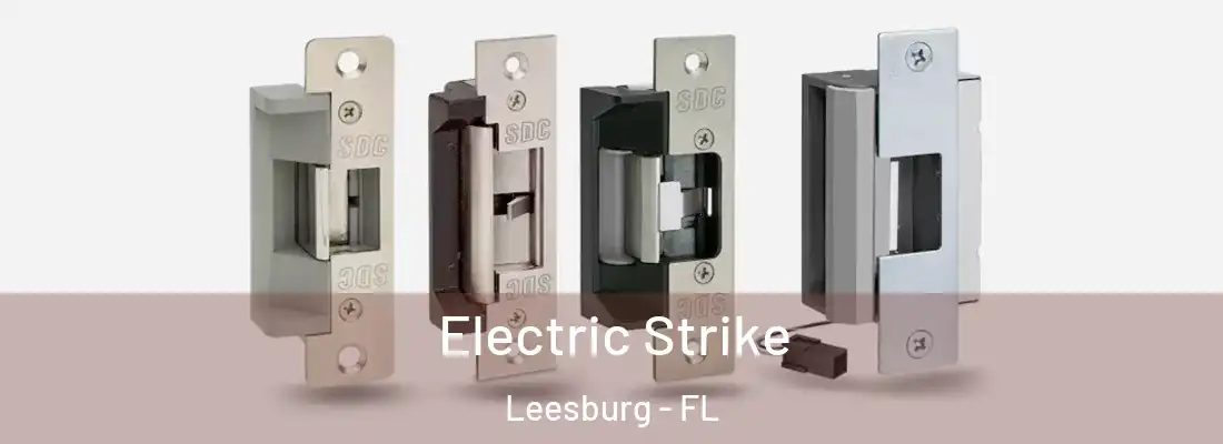  Electric Strike Leesburg - FL